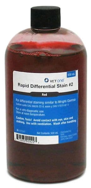 RAPID Differential STAIN