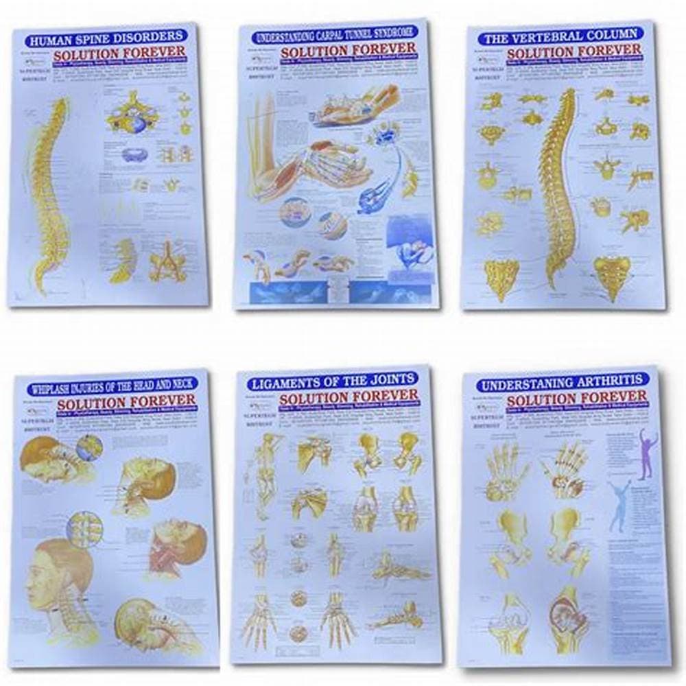 Biotronix physio charts | Thari Supplies